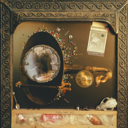 Wishy – Nature's Pill (LP Vinyl) Vinyl Record