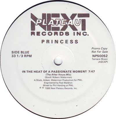 In The Heat Of A Passionate Moment  Generic Vinyl Record