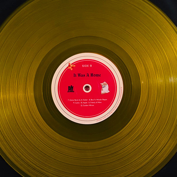  Vinyl Record