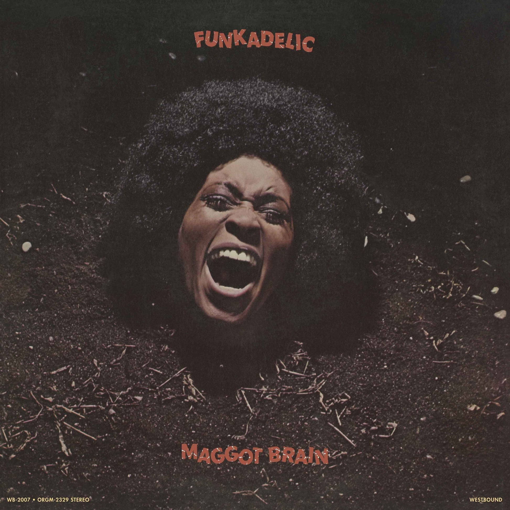 PRE-ORDER Funkadelic - Maggot Brain [Black LP] [Vinyl] Vinyl Record