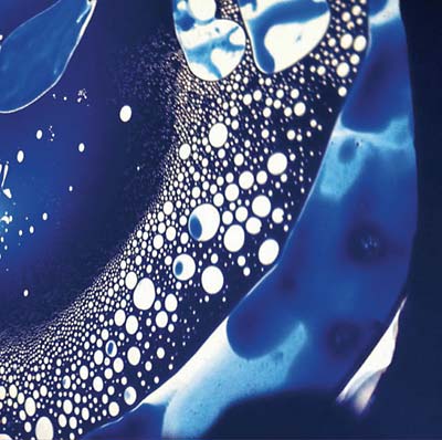 Mysterious Smile of a Buddhist Image Vinyl Record