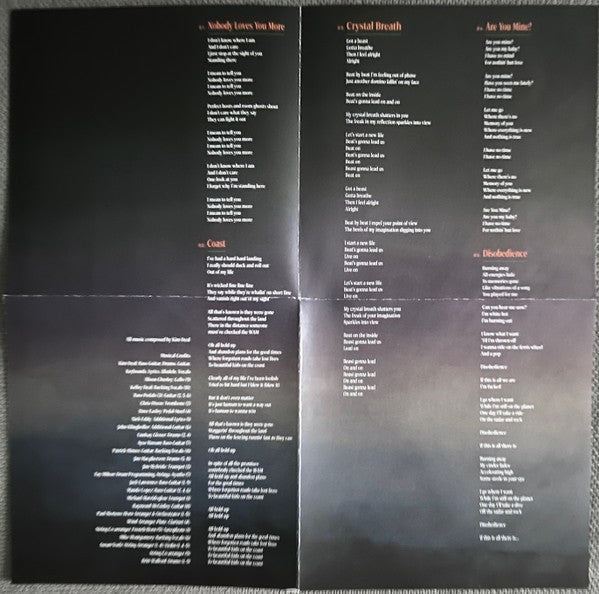 Kim Deal – Nobody Loves You More Music CD