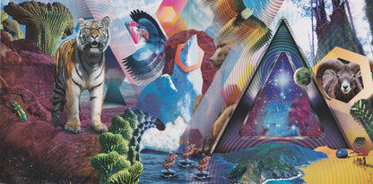 311 – Universal Pulse Music CD