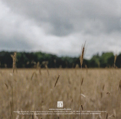 Rhiannon Giddens & Justin Robinson – What Did the Blackbird Say to the Crow Music CD