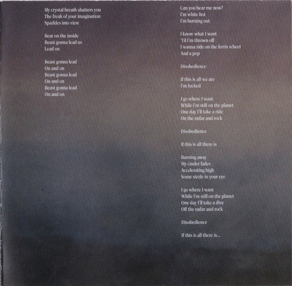 Kim Deal – Nobody Loves You More Music CD