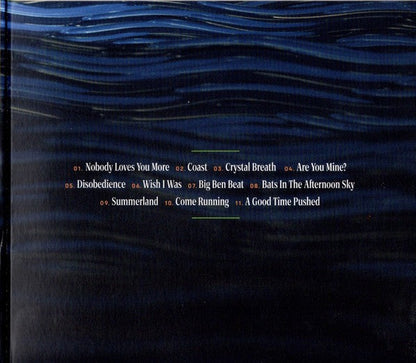Kim Deal – Nobody Loves You More Music CD