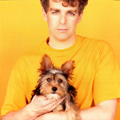 Pet Shop Boys – Introspective (LP Vinyl) Vinyl Record