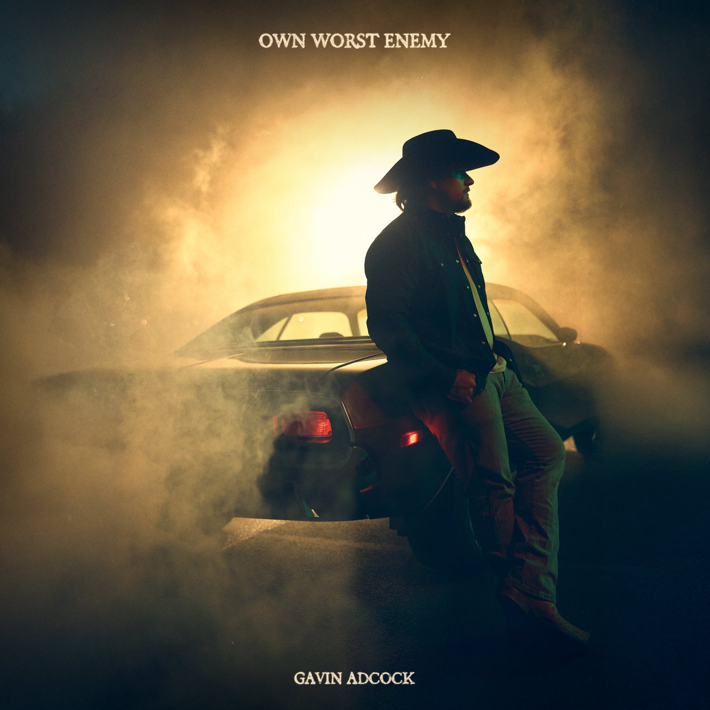 Own Worst Enemy Vinyl Record