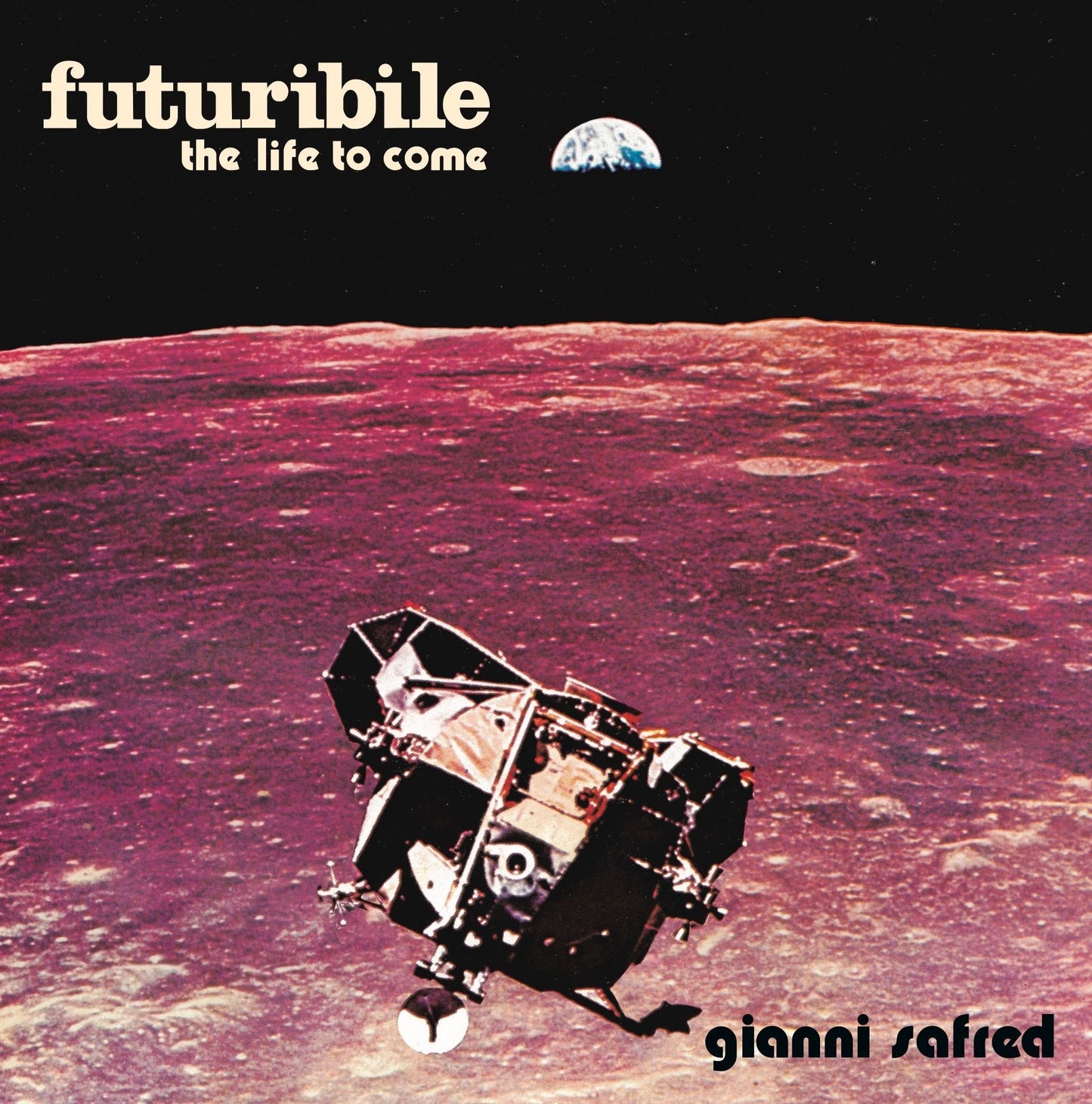 Futuribile Vinyl Record