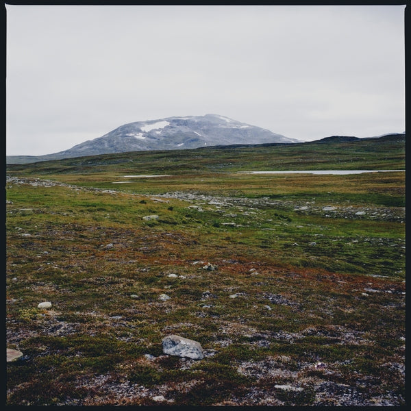 Tundra [Vinyl] Vinyl Record