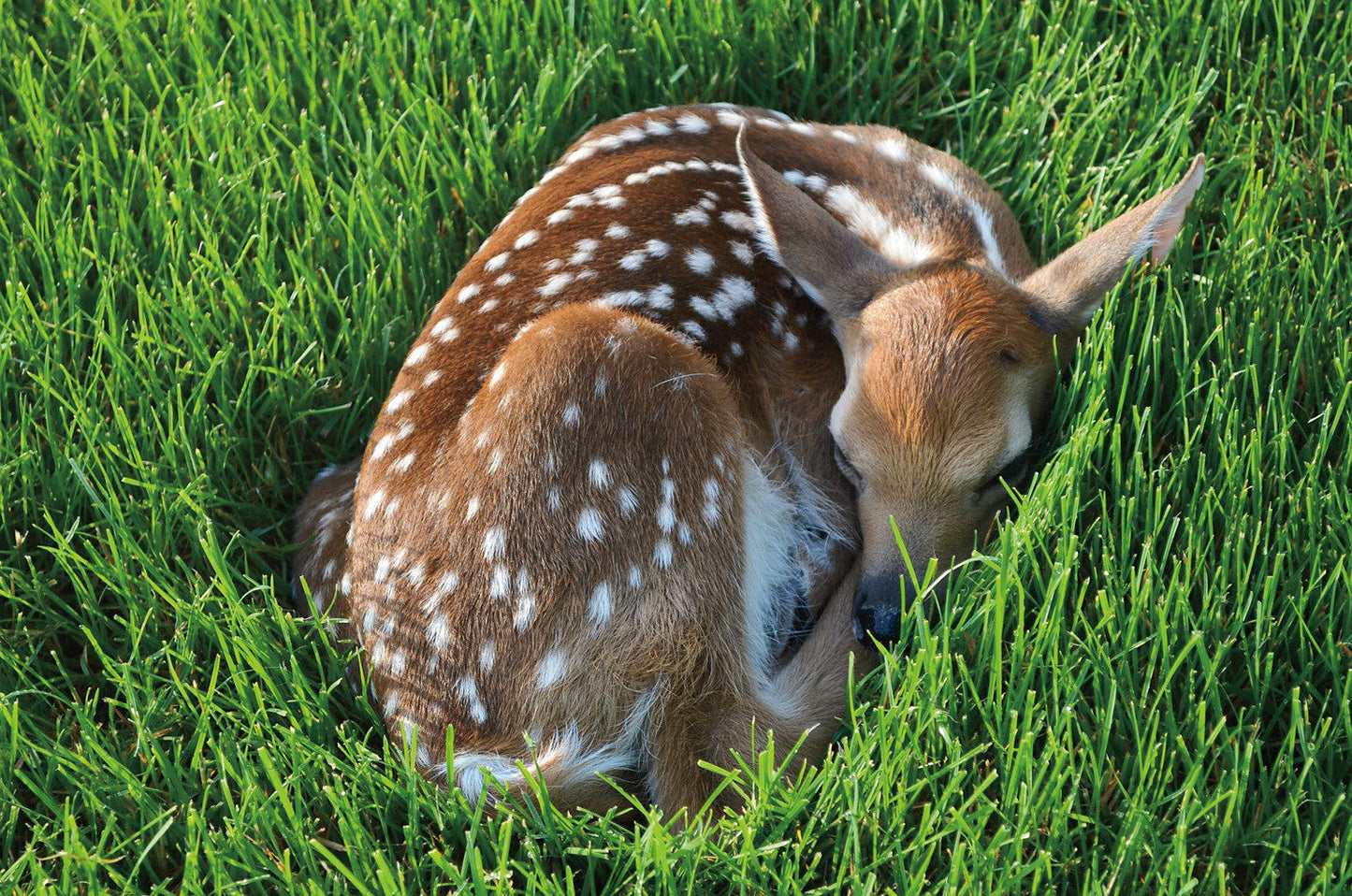 Capture Greater Lehigh Valley: The Best of the Lehigh Valley in Photography Book