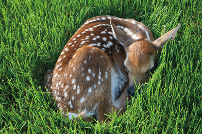 Capture Greater Lehigh Valley: The Best of the Lehigh Valley in Photography Book