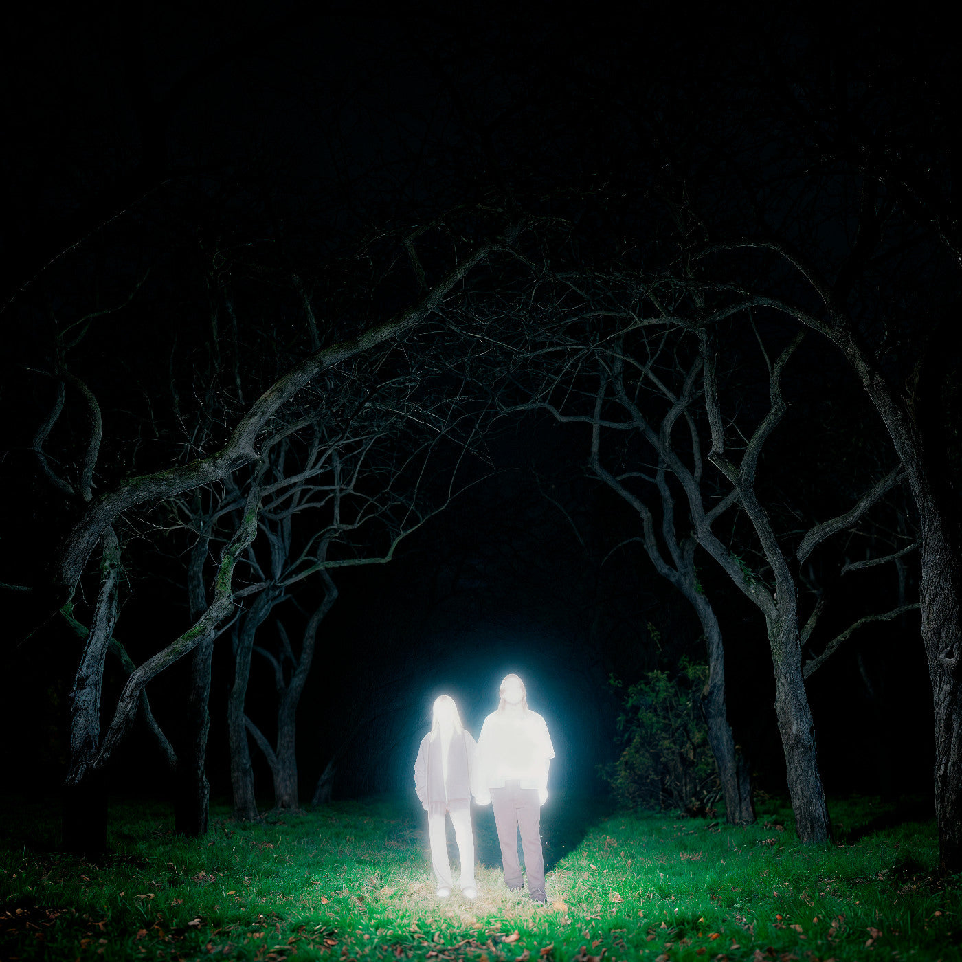 PRE-ORDER Gnoomes - Losey (Indie Exclusive) [Slate Gray Vinyl] [Vinyl] Vinyl Record