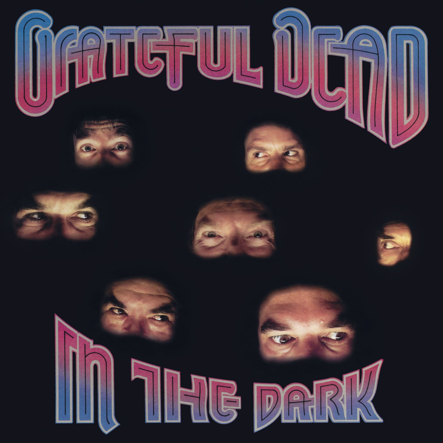 Grateful Dead  In the Dark Vinyl Record