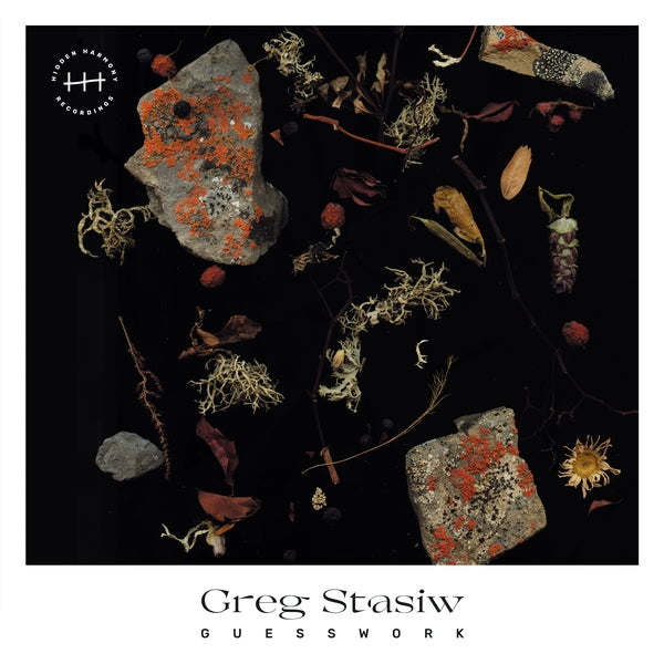 Greg Stasiw - Guesswork [LP] [Vinyl] Vinyl Record