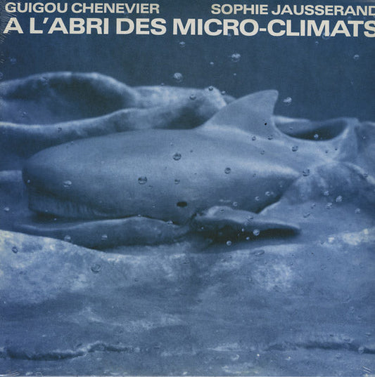 A l'Abri Des Micro-Climats Vinyl Record
