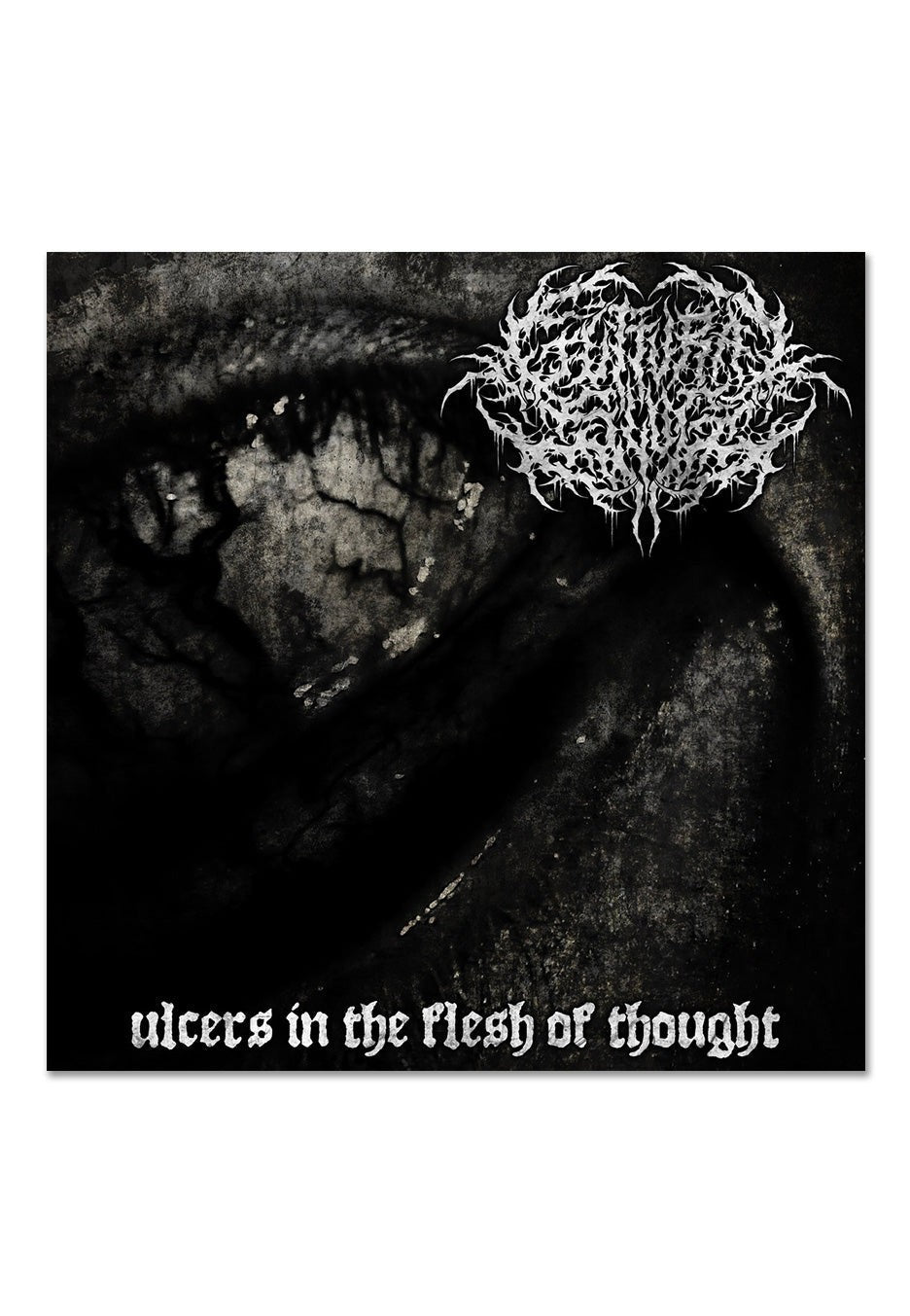 Ulcers In The Flesh Of Thought [CD] Music CD