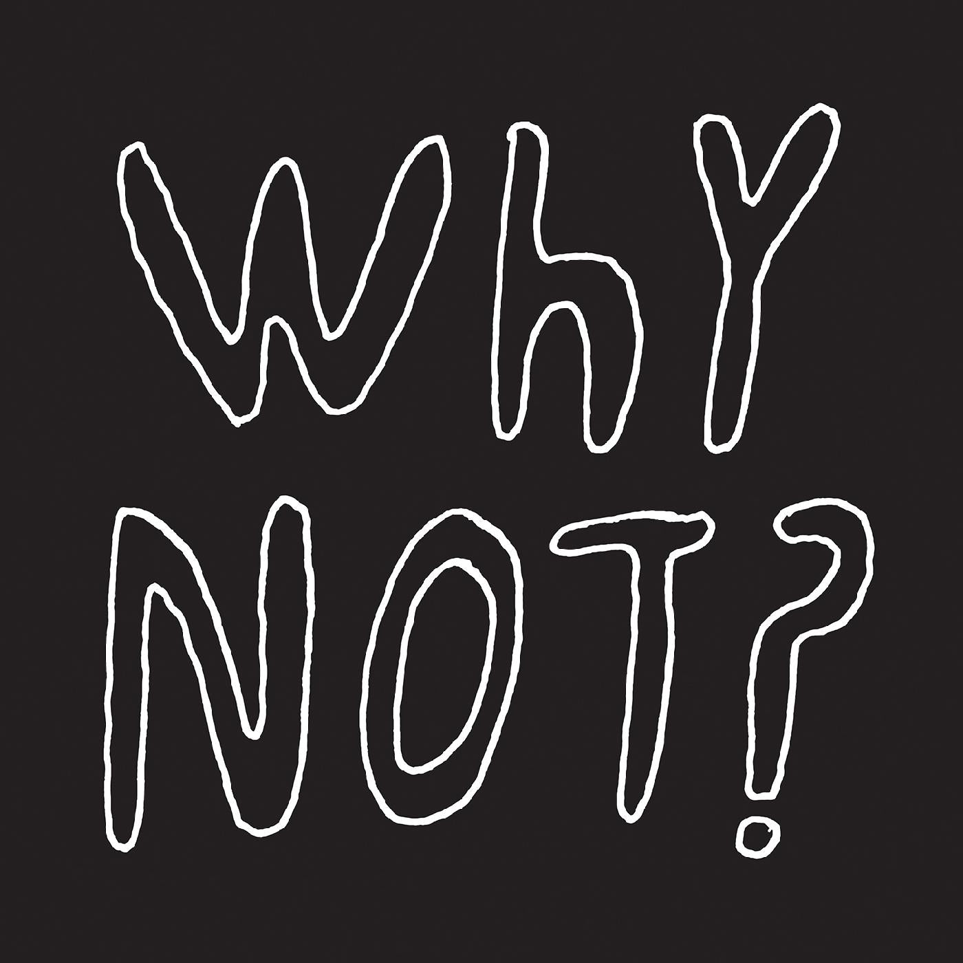 Why Not? Vinyl Record