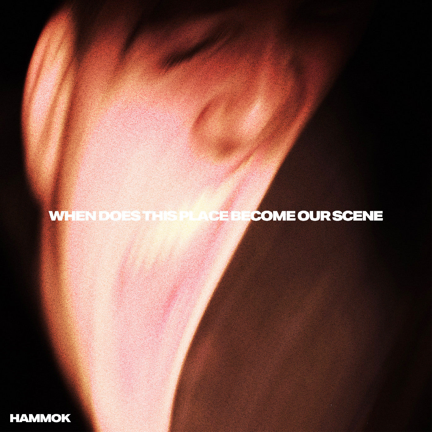 When Does This Place Become Our Scene (Indie Exclusive, Red Vinyl) [Vinyl] Vinyl Record