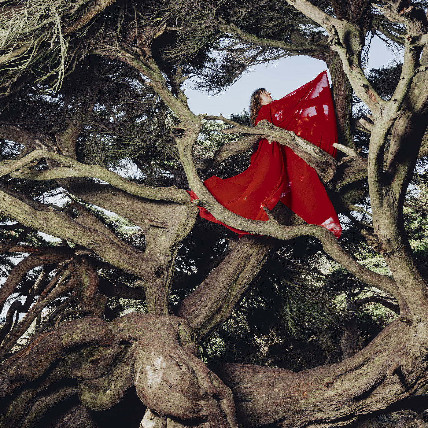 Nested In Tangles (Ruby Red Vinyl) Vinyl Record