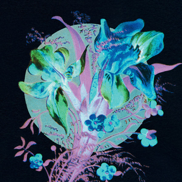 A Handful Of Dust Is A Desert  Music CD