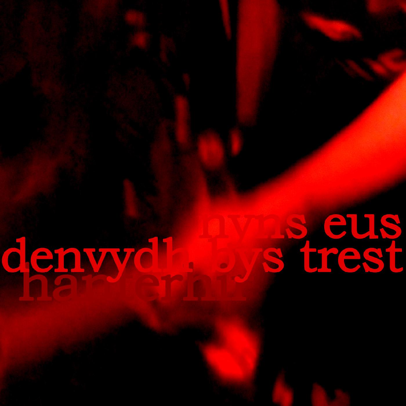 There is No One to Trust (Nyns Eus Denvydth Bys Trest) Vinyl Record