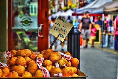 Capture Cincinnati IV: The Best of the Greater Cincinnati area in Photography Book