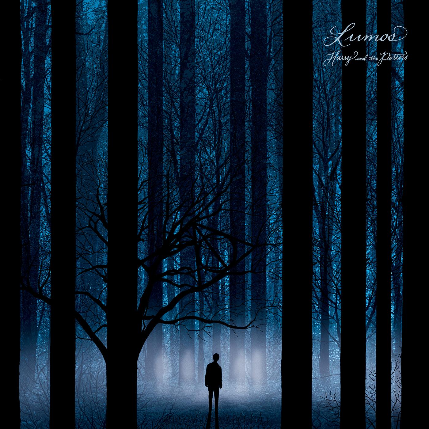 Lumos Vinyl Record