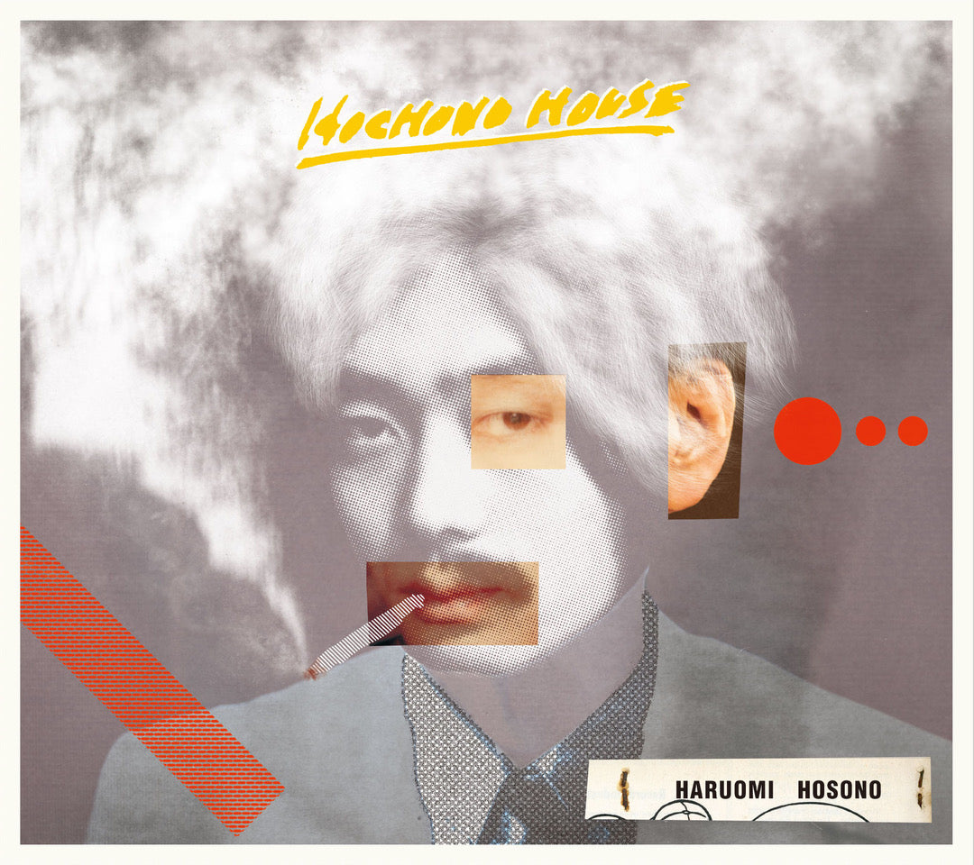 Hochono House Vinyl Record