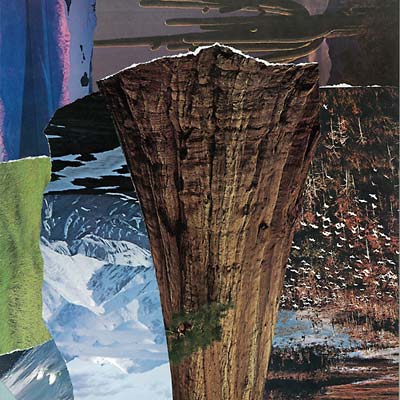 Headboggle Vinyl Record