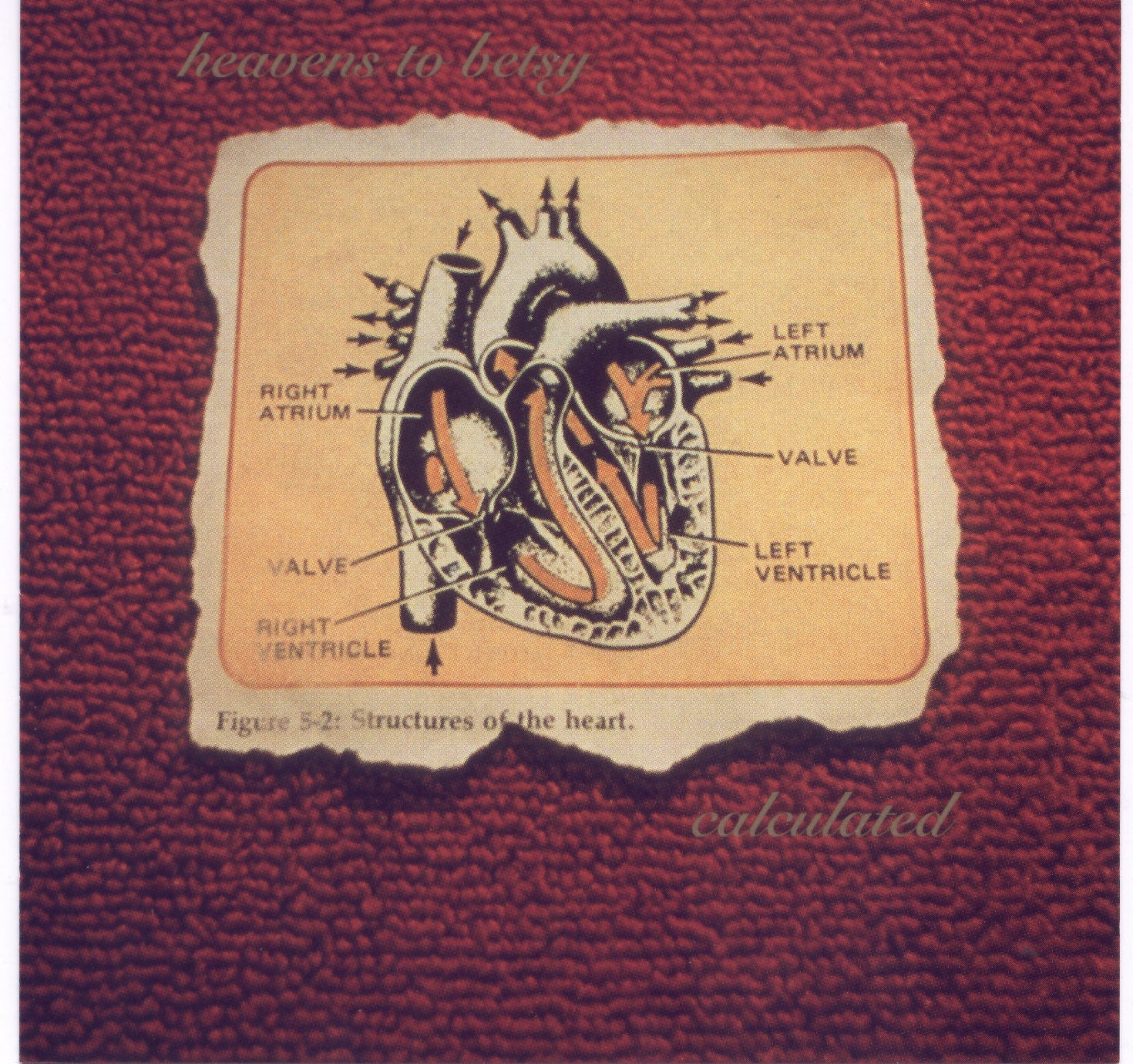 Calculated Music CD