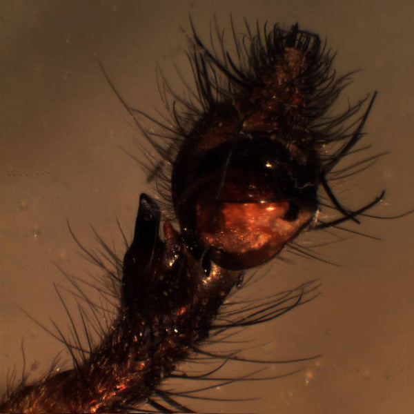 We Will Meet At Other Human Parties Vinyl Record