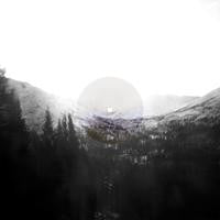 Can't Feel Born Vinyl Record