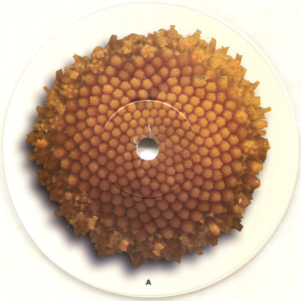 Smell The Da.I.S.Y. (Da Inner Soul Of Yancey)  Vinyl Record