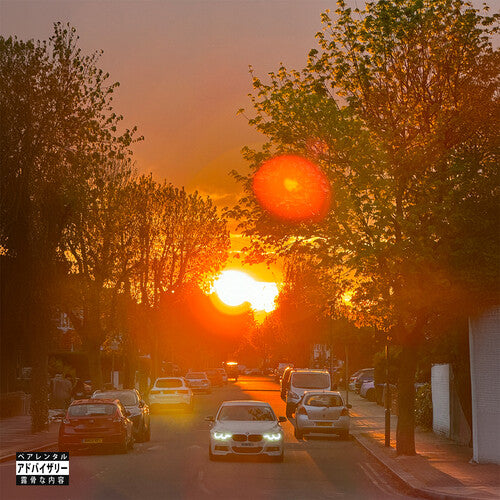 No Vi$Ible Means Of Income 3  Vinyl Record