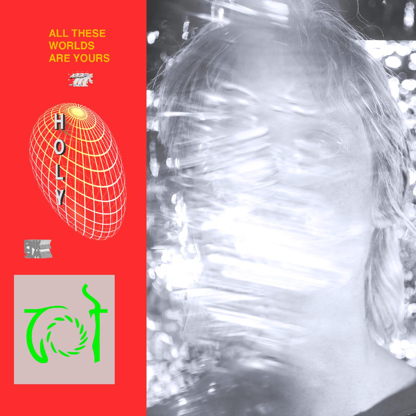 All These Worlds Are Yours [Vinyl] Vinyl Record