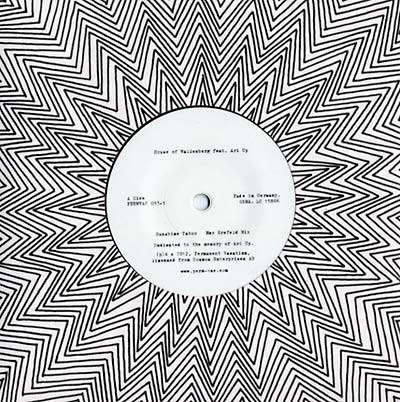 HOUSE OF WALLENBERG (FEAT. ARI UP) - Sunshine Taboo Vinyl Record