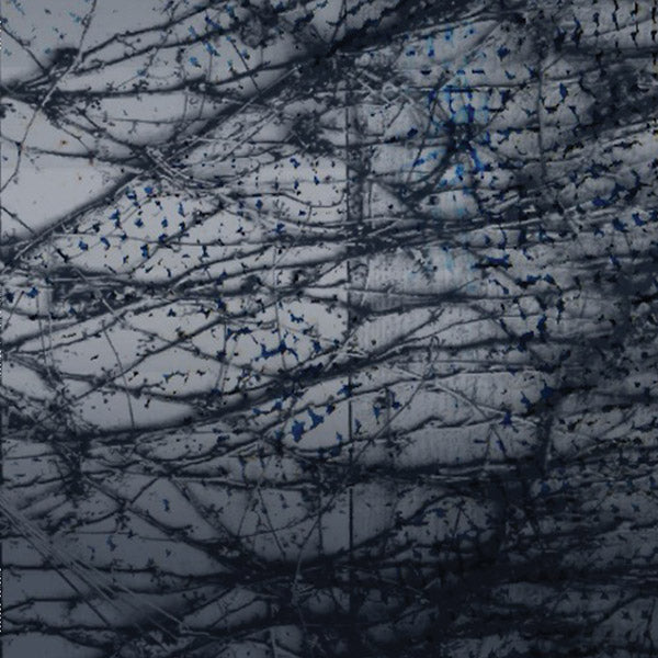 HUMAN RAYS - A Tension Vinyl Record