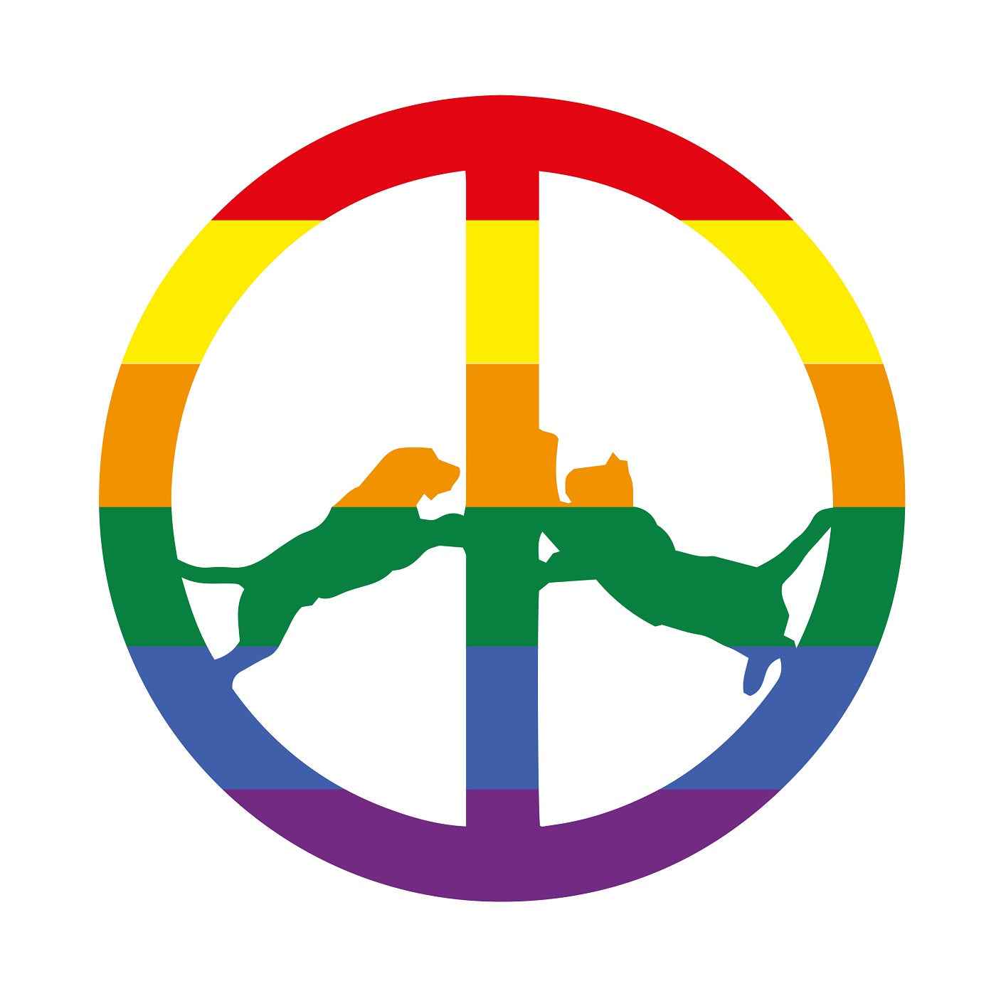 Hype Williams - Rainbow Edition [Vinyl] Vinyl Record