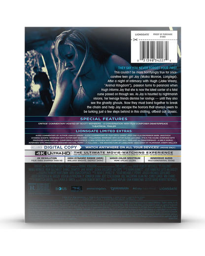 It Follows - Limited Edition Steelbook (4K Ultra HD + Digital)