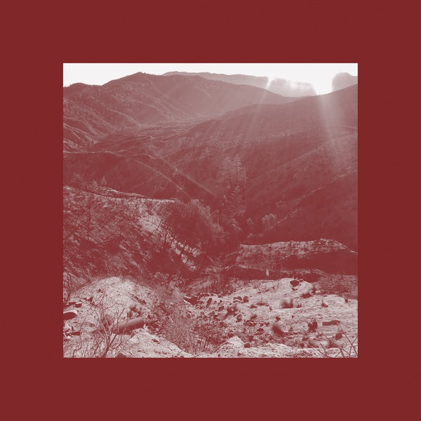 On The Darkest Day, You Took My Hand And Swore It Will Be Okay  Music CD