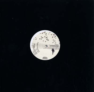 IDIOMA - Landscapes Vinyl Record