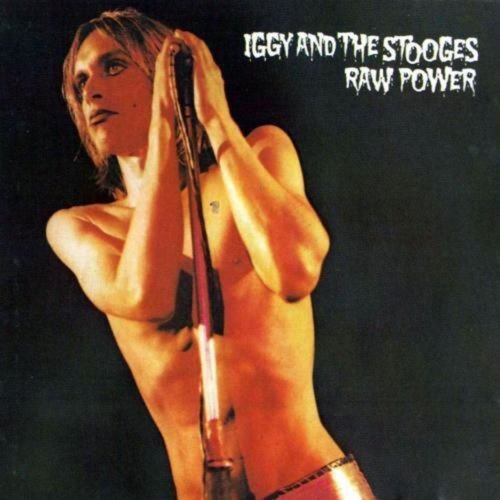 Raw Power (2LP 180g Import) Vinyl Record