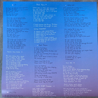 Indigo De Souza – Any Shape You Take (LP Vinyl) Vinyl Record