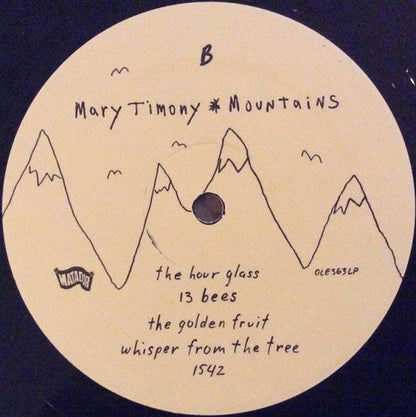 Mary Timony – Mountains (2-LP Vinyl) Vinyl Record