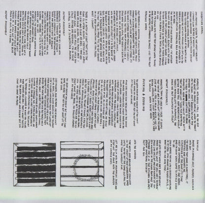 Parquet Courts – Sunbathing Animal Music CD