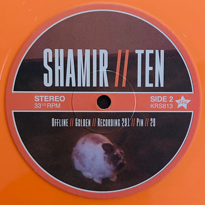 Shamir – Ten (LP Vinyl) Vinyl Record