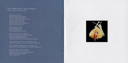 Dead Can Dance – Into The Labyrinth Music CD