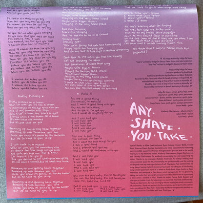 Indigo De Souza – Any Shape You Take (LP Vinyl) Vinyl Record