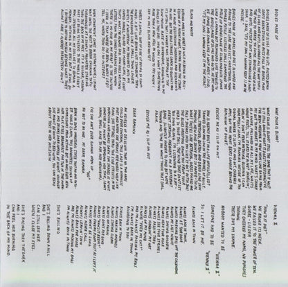 Parquet Courts – Sunbathing Animal Music CD